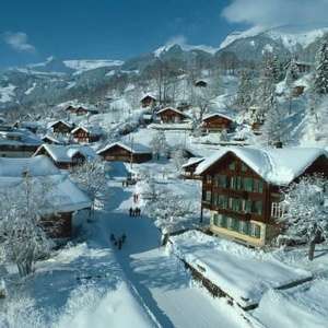 两年前濒临破产，如今市值5956亿！